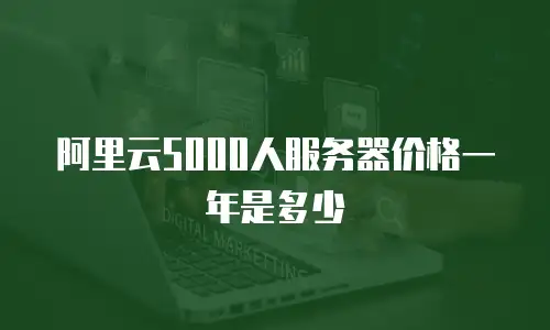 阿里云5000人服务器价格一年是多少