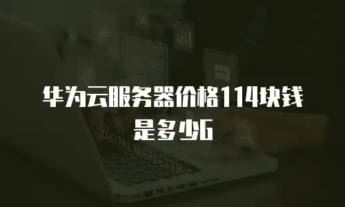 华为云服务器价格114块钱是多少G