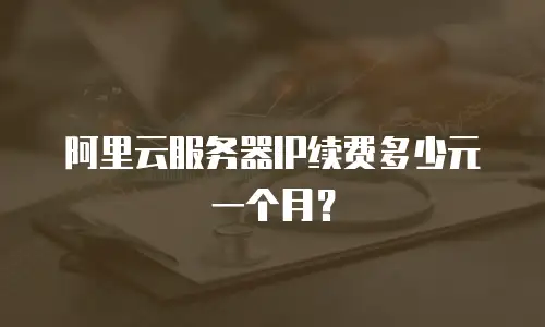 阿里云服务器IP续费多少元一个月？