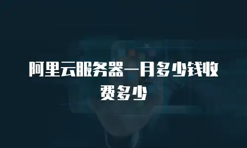 阿里云服务器一月多少钱收费多少