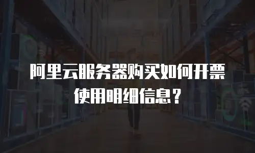 阿里云服务器购买如何开票使用明细信息？