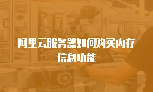 阿里云服务器如何购买内存信息功能