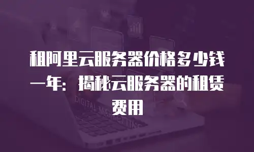 租阿里云服务器价格多少钱一年：揭秘云服务器的租赁费用