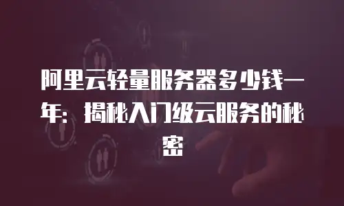 阿里云轻量服务器多少钱一年：揭秘入门级云服务的秘密