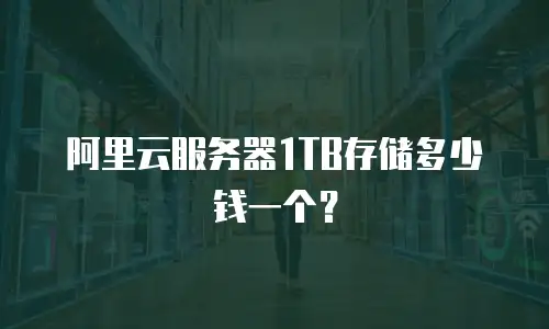 阿里云服务器1TB存储多少钱一个？