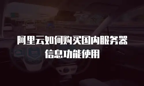 阿里云如何购买国内服务器信息功能使用