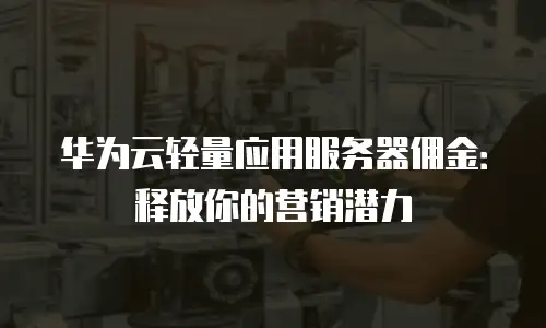 华为云轻量应用服务器佣金：释放你的营销潜力