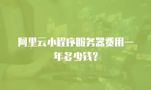 阿里云小程序服务器费用一年多少钱？