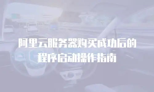 阿里云服务器购买成功后的程序启动操作指南