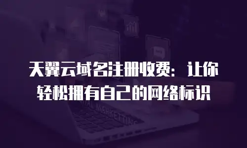 天翼云域名注册收费：让你轻松拥有自己的网络标识