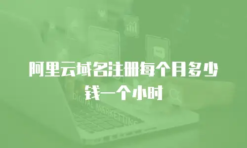 阿里云域名注册每个月多少钱一个小时