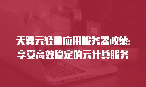 天翼云轻量应用服务器政策：享受高效稳定的云计算服务
