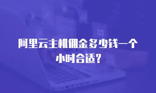 阿里云主机佣金多少钱一个小时合适？