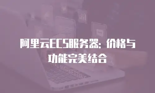 阿里云ECS服务器: 价格与功能完美结合