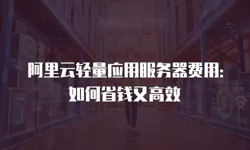 阿里云轻量应用服务器费用：如何省钱又高效