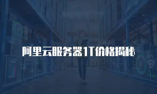 阿里云服务器1T价格揭秘