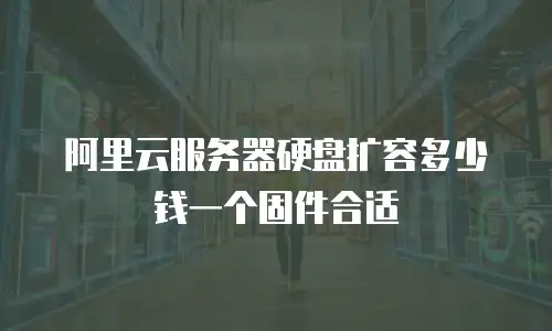 阿里云服务器硬盘扩容多少钱一个固件合适