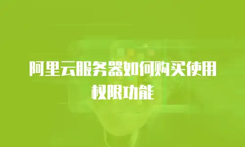 阿里云服务器如何购买使用权限功能