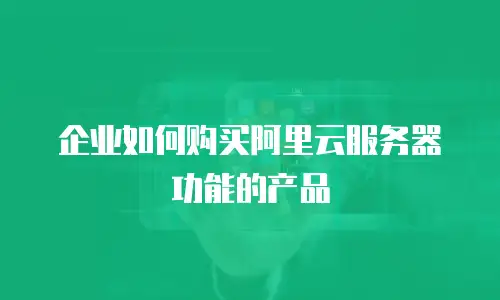 企业如何购买阿里云服务器功能的产品