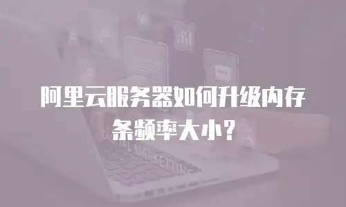阿里云服务器如何升级内存条频率大小？