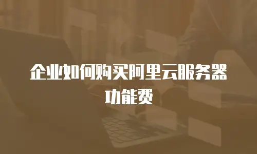 企业如何购买阿里云服务器功能费