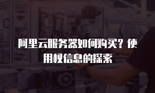 阿里云服务器如何购买？使用权信息的探索