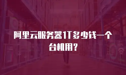 阿里云服务器1T多少钱一个台机用？