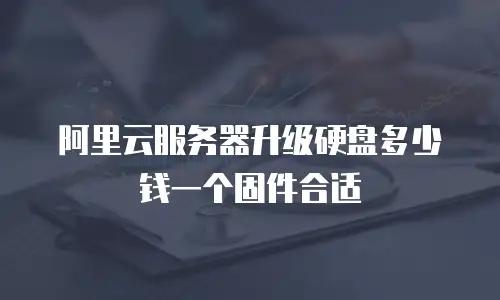 阿里云服务器升级硬盘多少钱一个固件合适