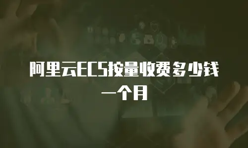 阿里云ECS按量收费多少钱一个月