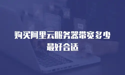 购买阿里云服务器带宽多少最好合适