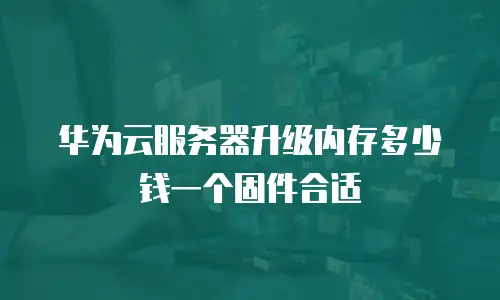 华为云服务器升级内存多少钱一个固件合适