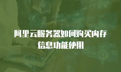 阿里云服务器如何购买内存信息功能使用