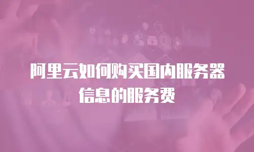 阿里云如何购买国内服务器信息的服务费