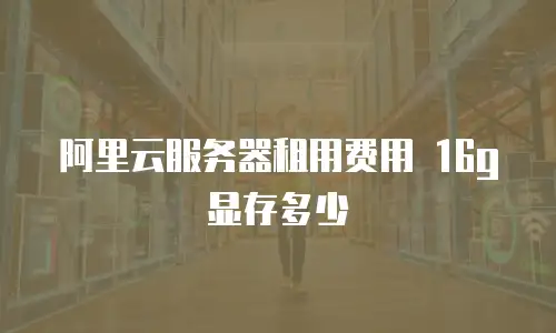 阿里云服务器租用费用 16g显存多少