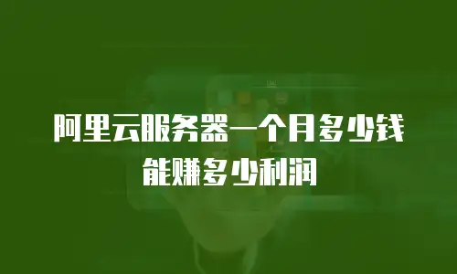 阿里云服务器一个月多少钱能赚多少利润
