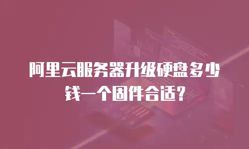阿里云服务器升级硬盘多少钱一个固件合适？