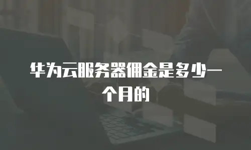 华为云服务器佣金是多少一个月的