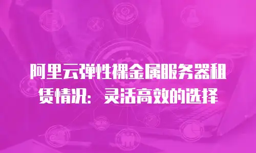 阿里云弹性裸金属服务器租赁情况：灵活高效的选择