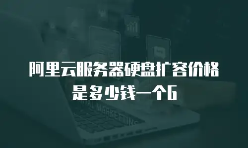阿里云服务器硬盘扩容价格是多少钱一个G