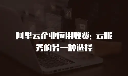 阿里云企业应用收费: 云服务的另一种选择