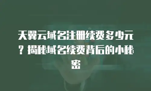 天翼云域名注册续费多少元？揭秘域名续费背后的小秘密