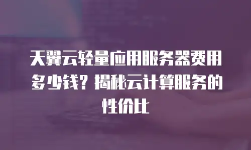 天翼云轻量应用服务器费用多少钱？揭秘云计算服务的性价比