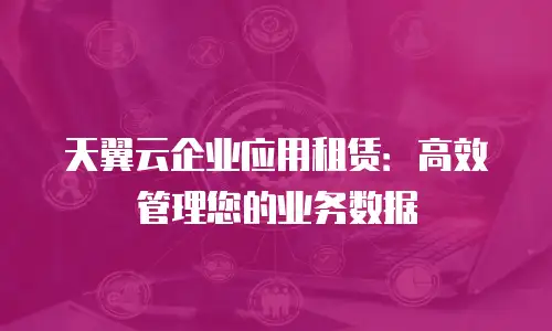 天翼云企业应用租赁：高效管理您的业务数据