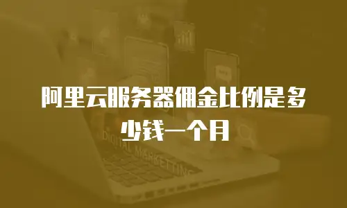 阿里云服务器佣金比例是多少钱一个月