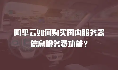 阿里云如何购买国内服务器信息服务费功能？