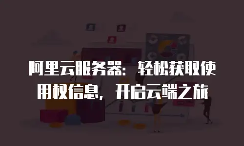 阿里云服务器：轻松获取使用权信息，开启云端之旅