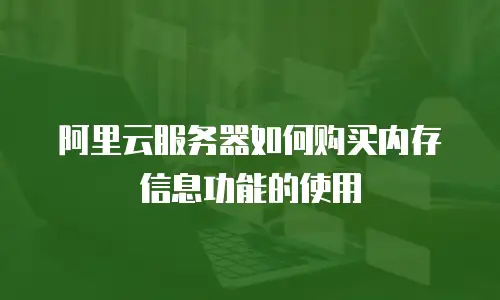 阿里云服务器如何购买内存信息功能的使用