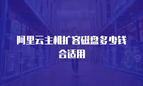 阿里云主机扩容磁盘多少钱合适用