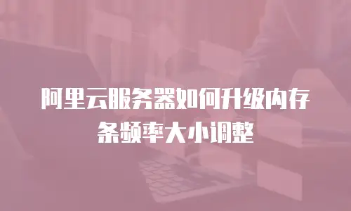 阿里云服务器如何升级内存条频率大小调整