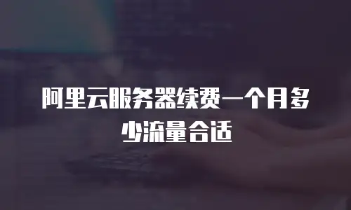阿里云服务器续费一个月多少流量合适